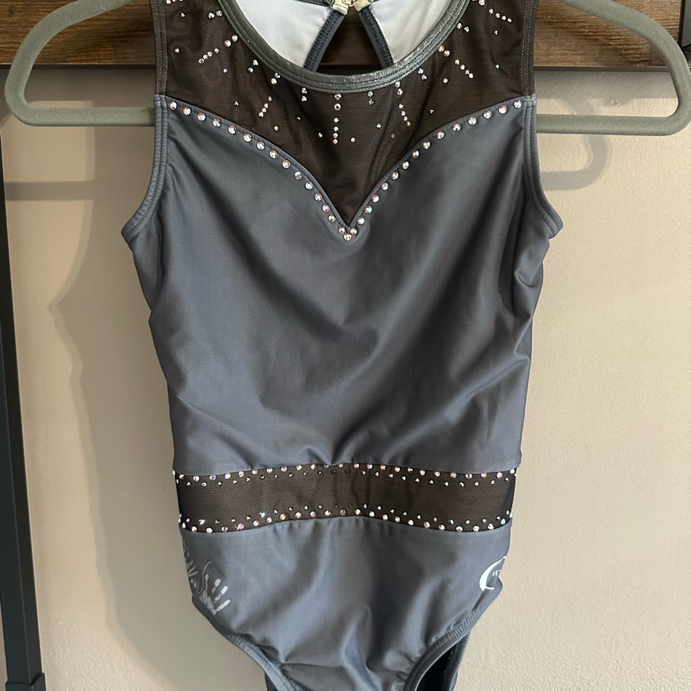 Chalk Warrior Ozone Elegant Gray and Black Rhinestone Leotard -